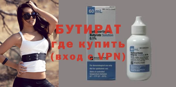 индика Гусев