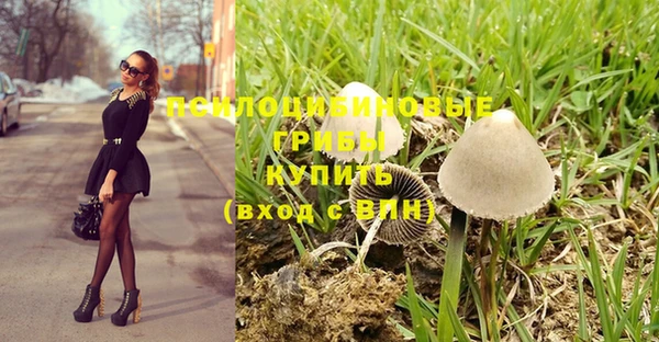 ешки Абаза
