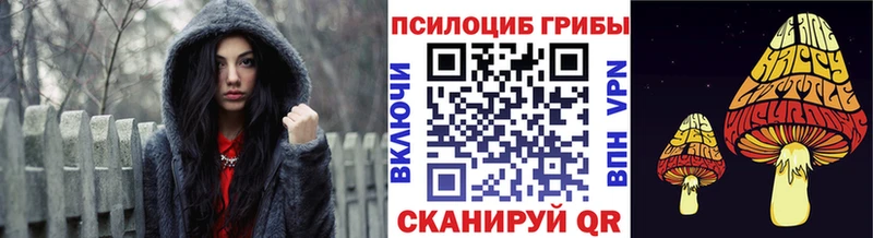 Псилоцибиновые грибы Psilocybe  закладки  omg tor  Плавск 